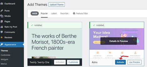 Activate Astra WordPress Theme