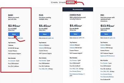 Bluehost Beginners Plan
