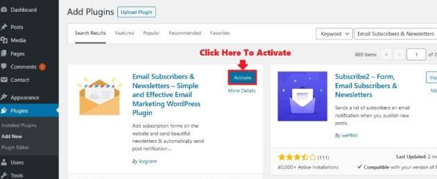 Email Subscribers And Newsletter WordPress Plugin Activate
