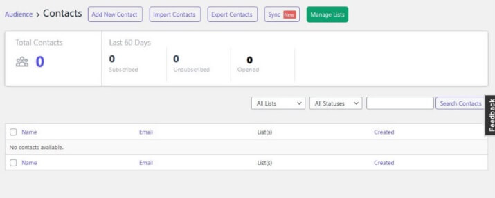 Email Subscribers And Newsletters Audience