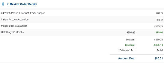 HostGator Review Your Order