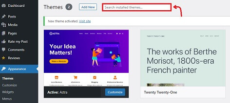 Search For Installed Themes