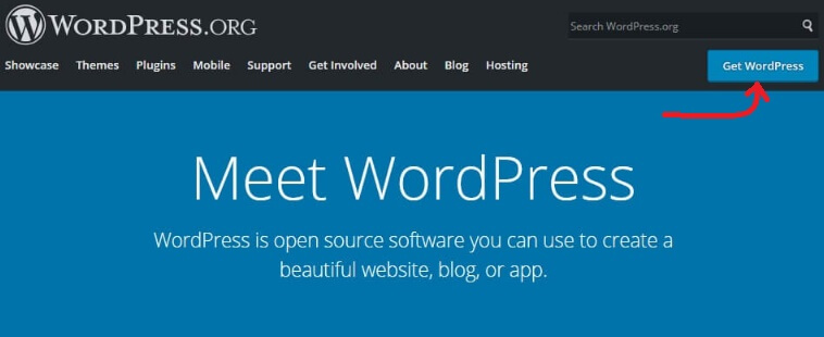 WordPress Homepage