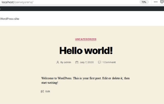 WordPress Localhost Frontend