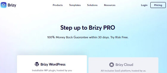 Brizy Page Builder
