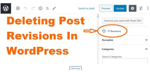 How To Delete Post Revisions In WordPress Site