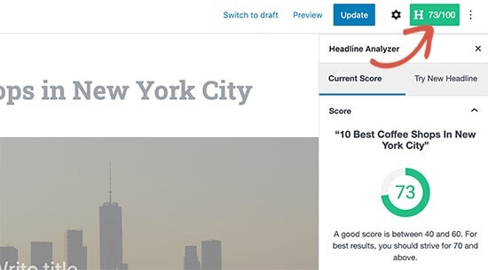 MonsterInsights Headline Analyzer