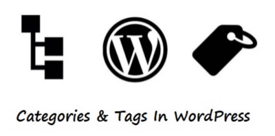 Category And Tags In WordPress Site