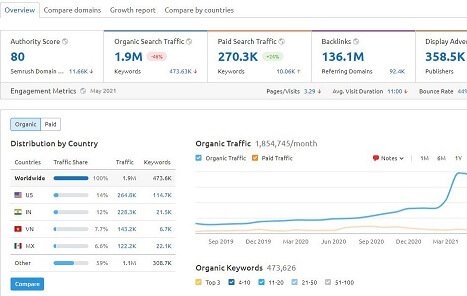 Domain Overview In Semrush Tool