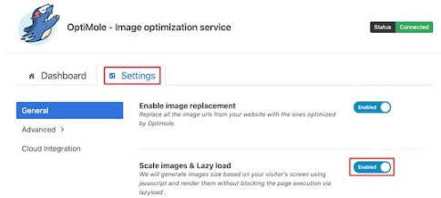 Image Optimization And Lazy Load Enable Lazy Load For Optimole
