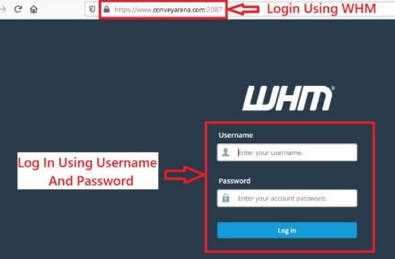 Log In To cPanel WHM