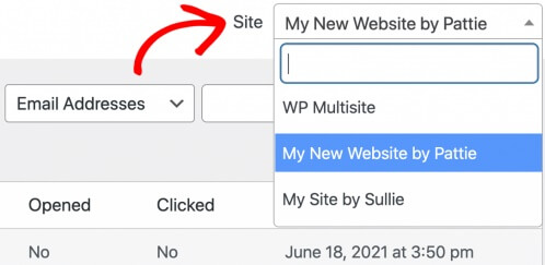 Multisite Email Log WordPress