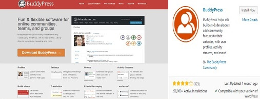 BuddyPress WordPress Plugin Forr Business Website
