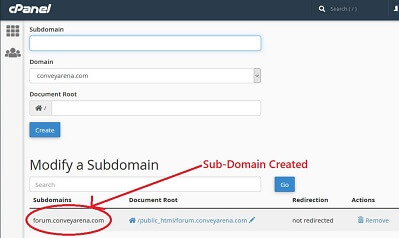 Subdomain Record Information