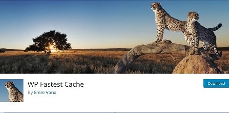 WP Fastest Cache WordPress Plugin