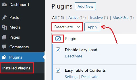 Deactivate All The Plugins
