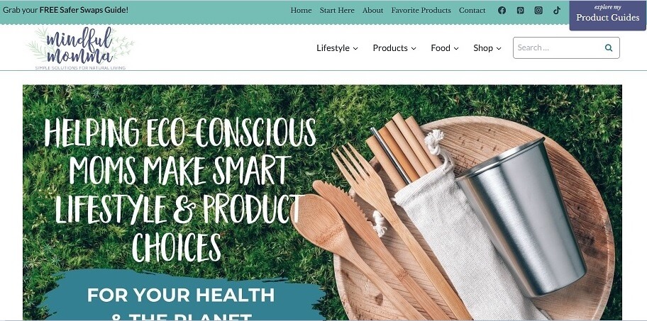Mindful Momma Blog
